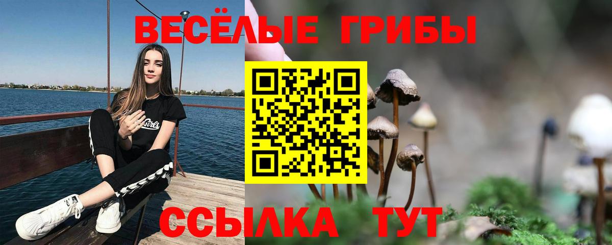 Белово  Псилоцибиновые грибы Cubensis  Галлюциногенные грибы ЛСД  Вход с VPN 
